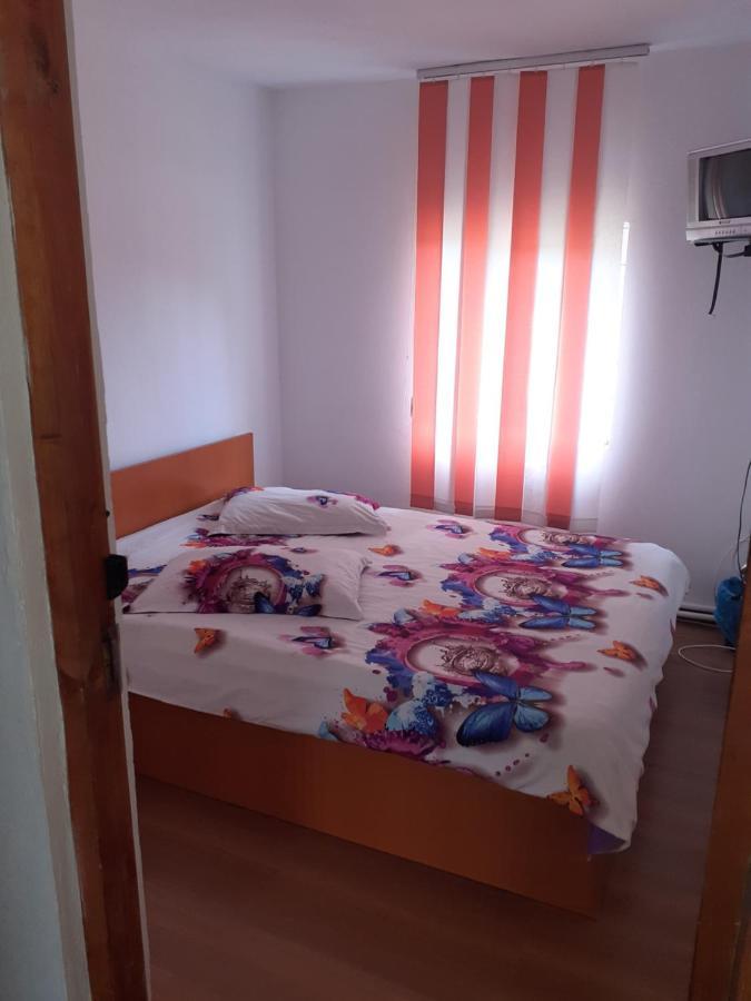 Hotel Casa Denisa Vidraru Transfgarasan Căpăţîneni-Ungureni Esterno foto
