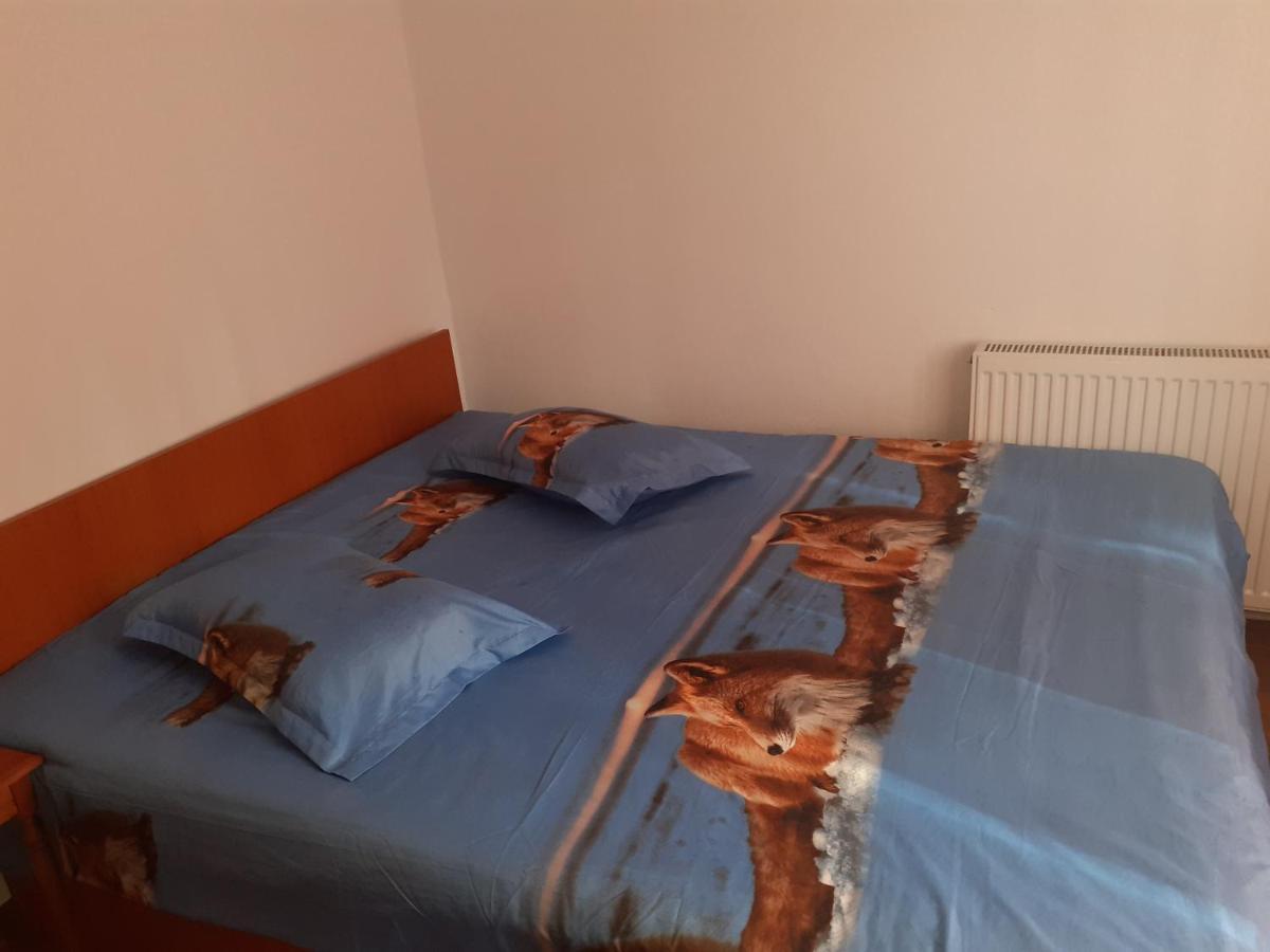 Hotel Casa Denisa Vidraru Transfgarasan Căpăţîneni-Ungureni Esterno foto