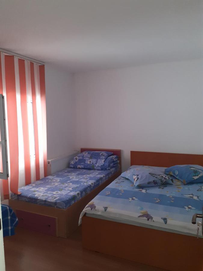 Hotel Casa Denisa Vidraru Transfgarasan Căpăţîneni-Ungureni Esterno foto