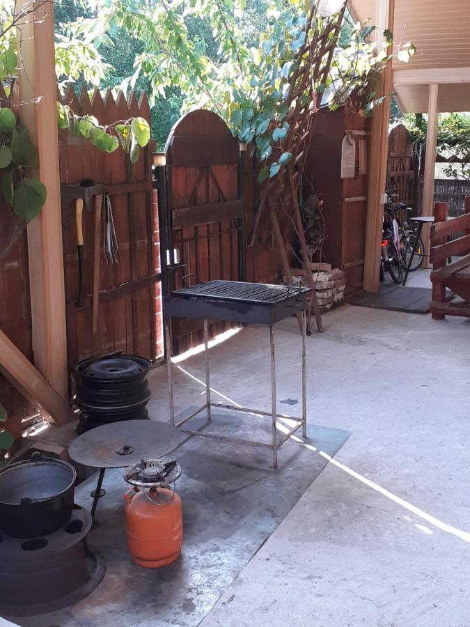 Hotel Casa Denisa Vidraru Transfgarasan Căpăţîneni-Ungureni Esterno foto