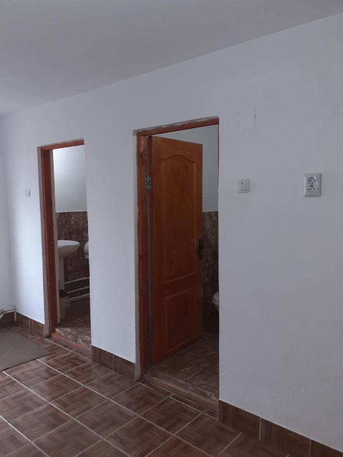 Hotel Casa Denisa Vidraru Transfgarasan Căpăţîneni-Ungureni Esterno foto
