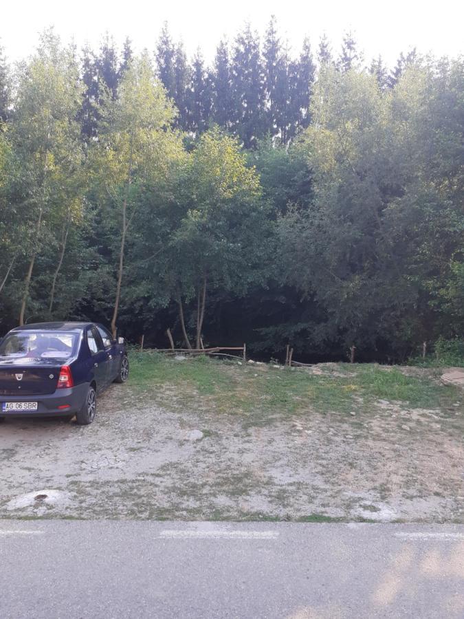 Hotel Casa Denisa Vidraru Transfgarasan Căpăţîneni-Ungureni Esterno foto