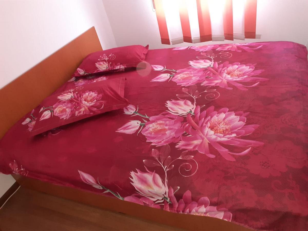 Hotel Casa Denisa Vidraru Transfgarasan Căpăţîneni-Ungureni Esterno foto