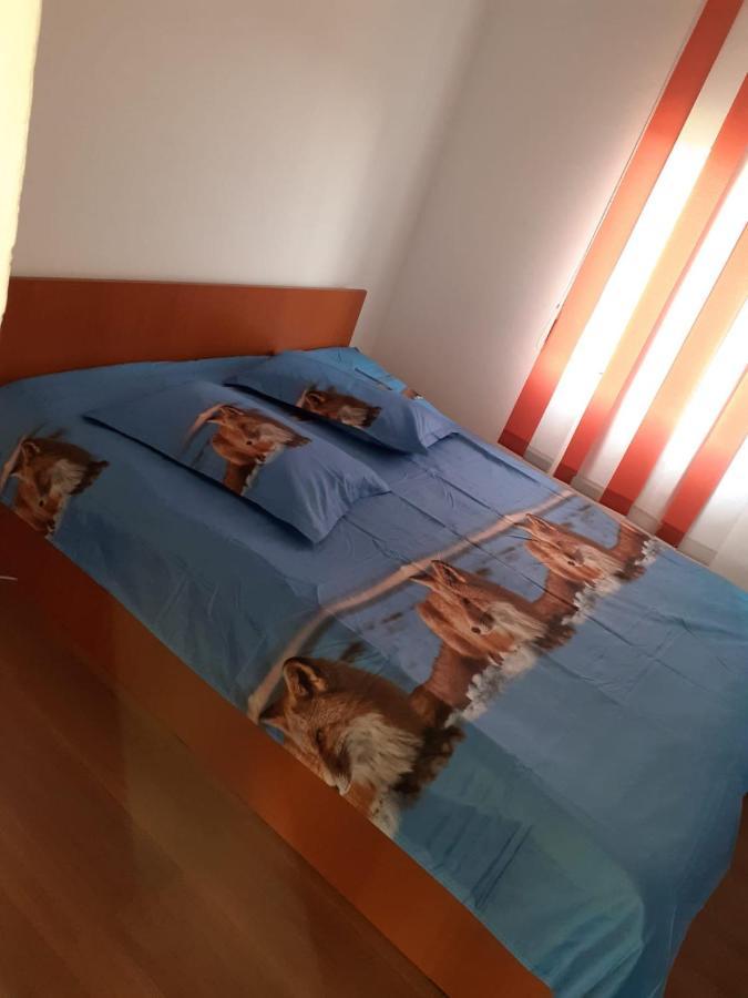 Hotel Casa Denisa Vidraru Transfgarasan Căpăţîneni-Ungureni Esterno foto