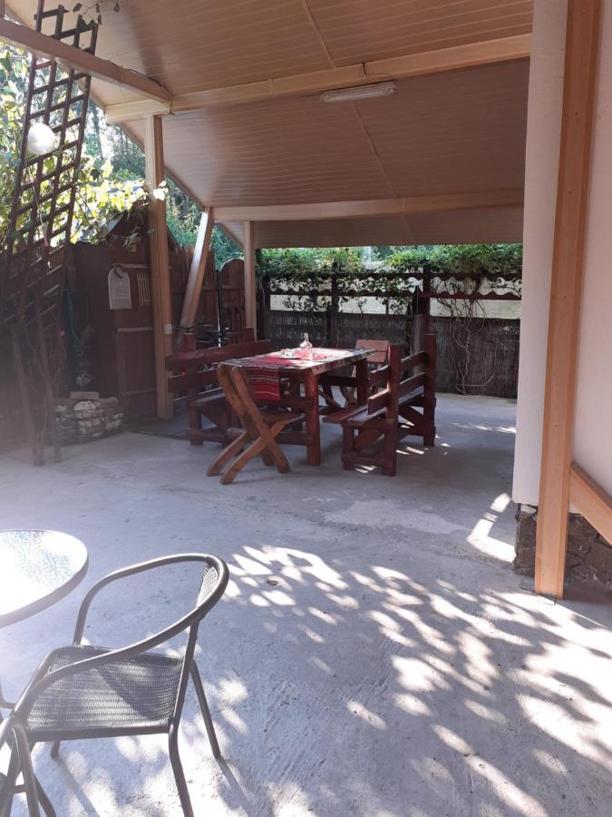 Hotel Casa Denisa Vidraru Transfgarasan Căpăţîneni-Ungureni Esterno foto