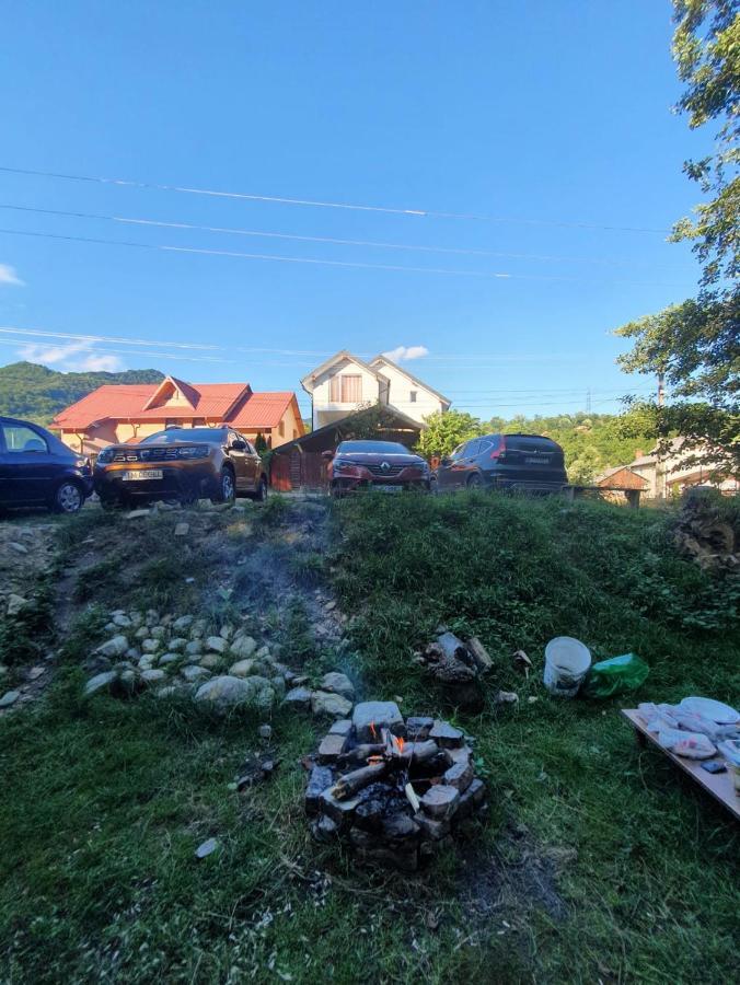 Hotel Casa Denisa Vidraru Transfgarasan Căpăţîneni-Ungureni Esterno foto
