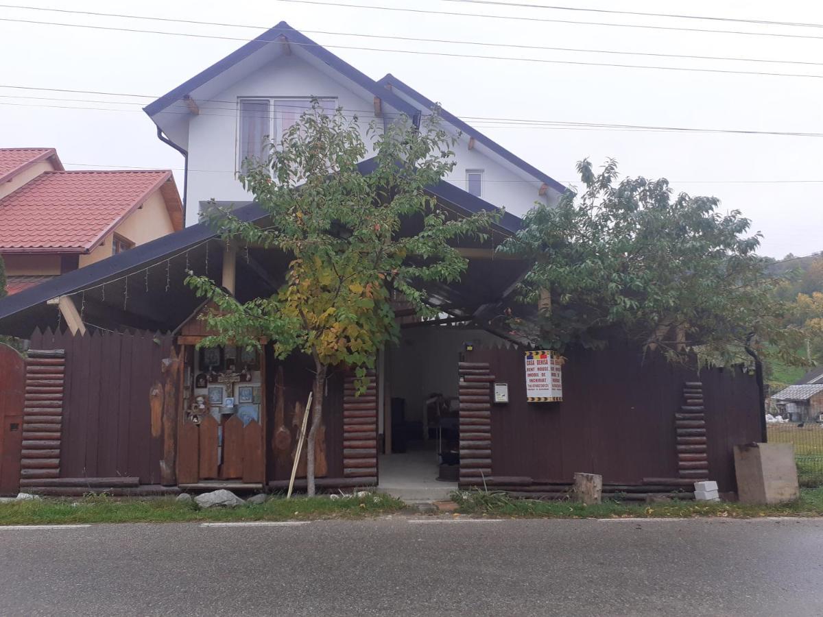 Hotel Casa Denisa Vidraru Transfgarasan Căpăţîneni-Ungureni Esterno foto